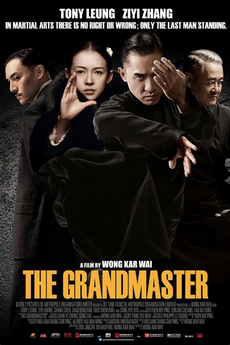 一代宗師|The Grandmaster (film)